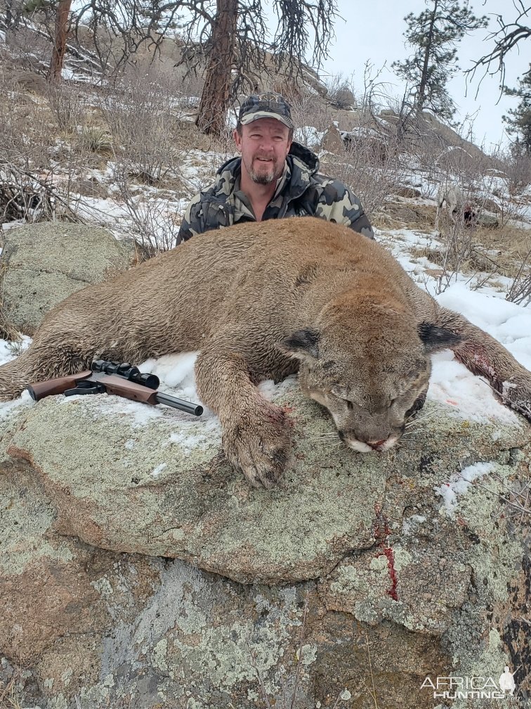 Mountain Lion Hunt