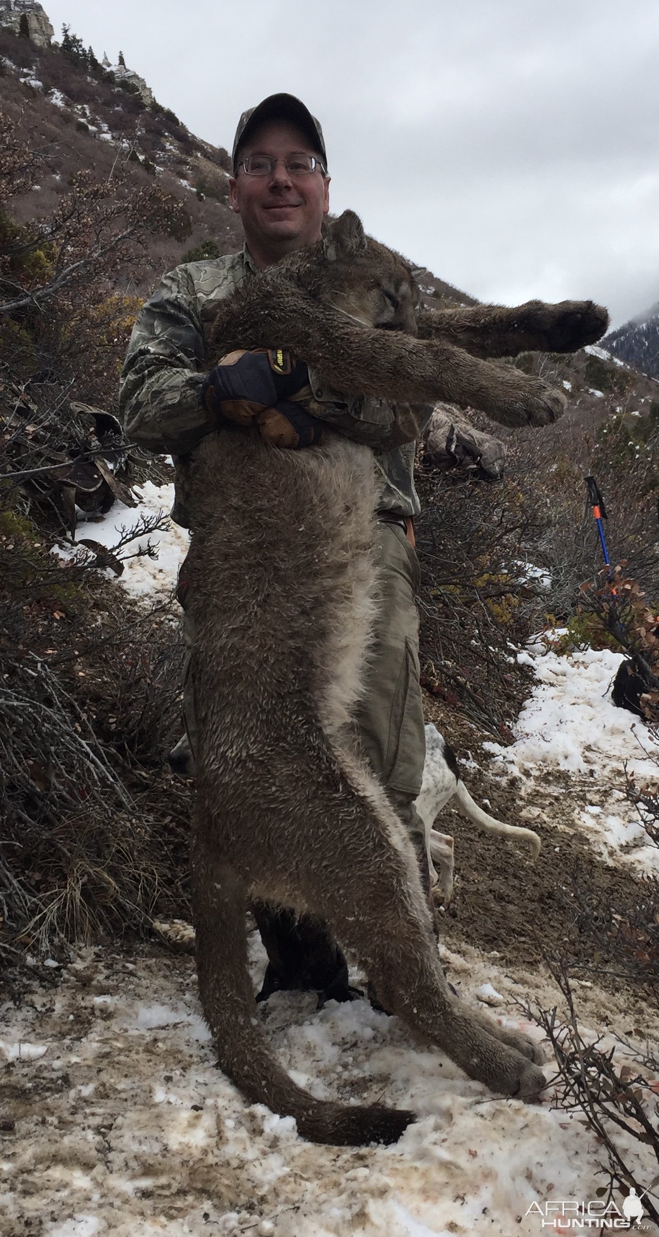 Mountain Lion Hunting Utah