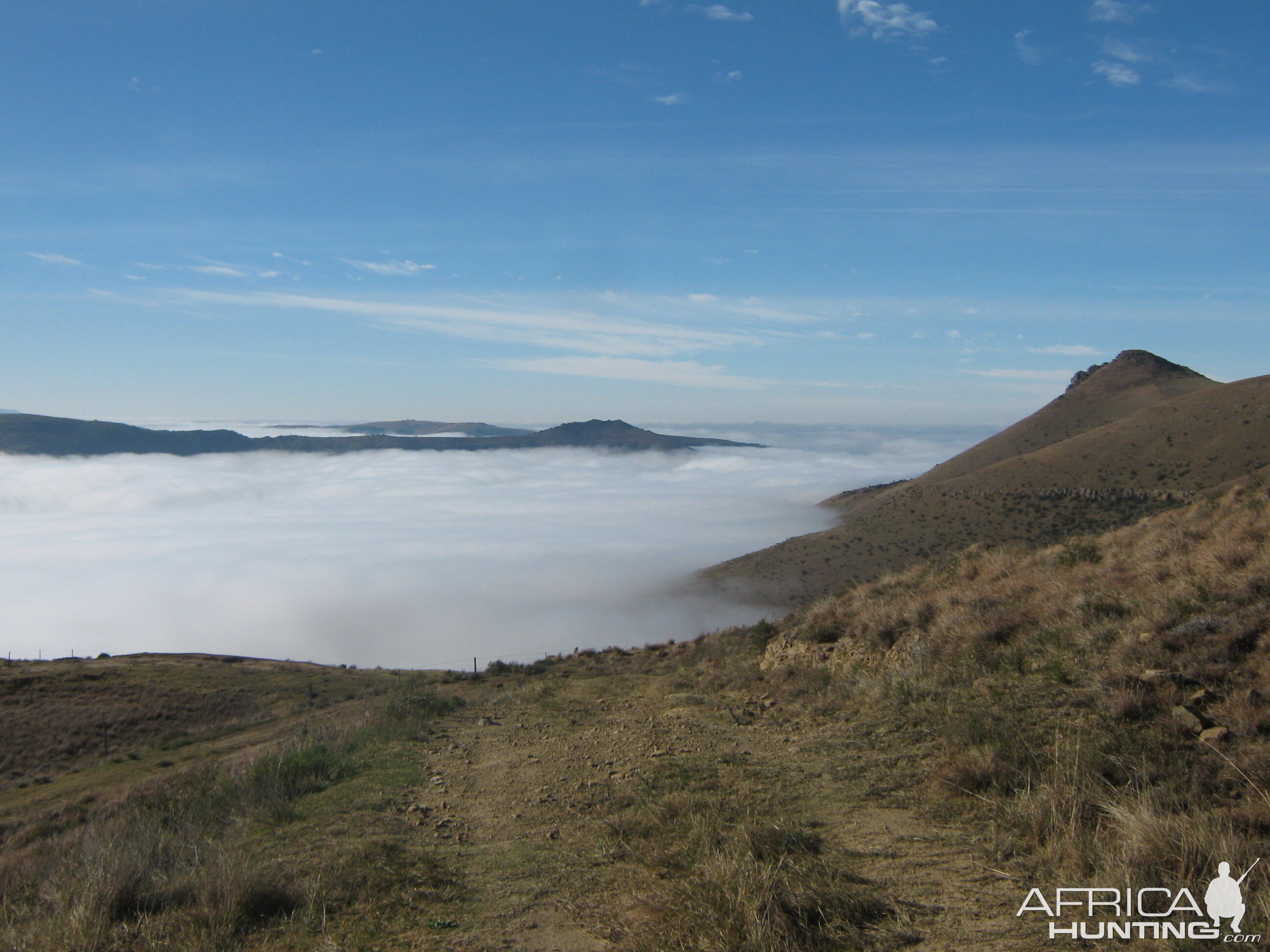 Mountain Reedbuck country - Mankazana Valley.