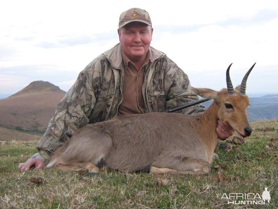 Mountain Reedbuck - Free Range