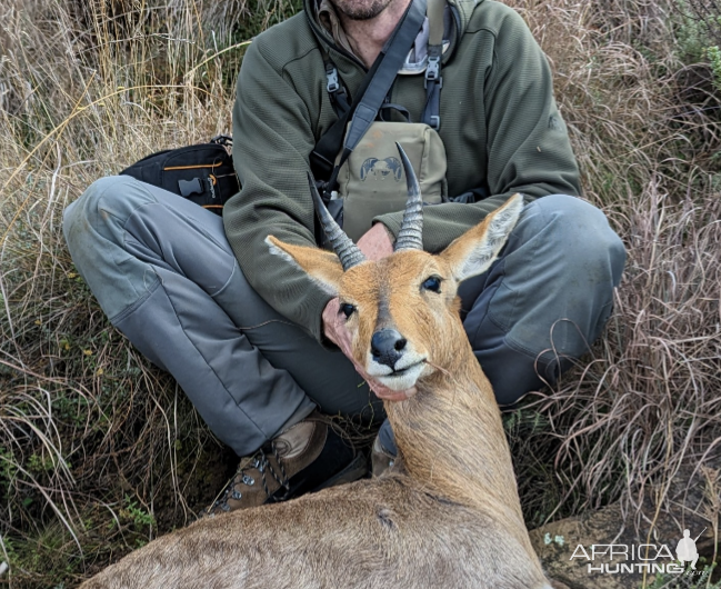 Mountain Reedbuck Hunt South Africa