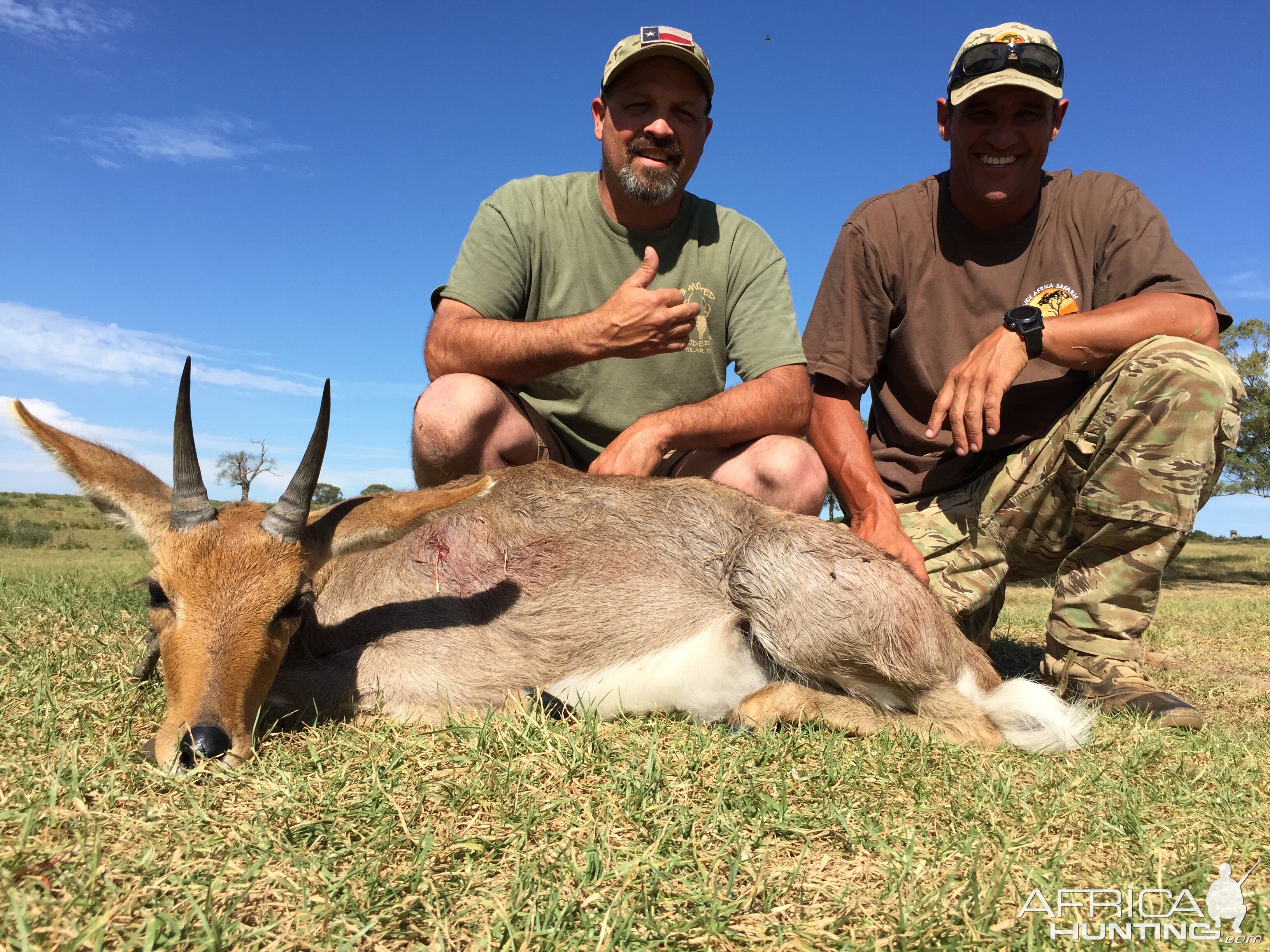 Mountain Reedbuck Hunt South Africa