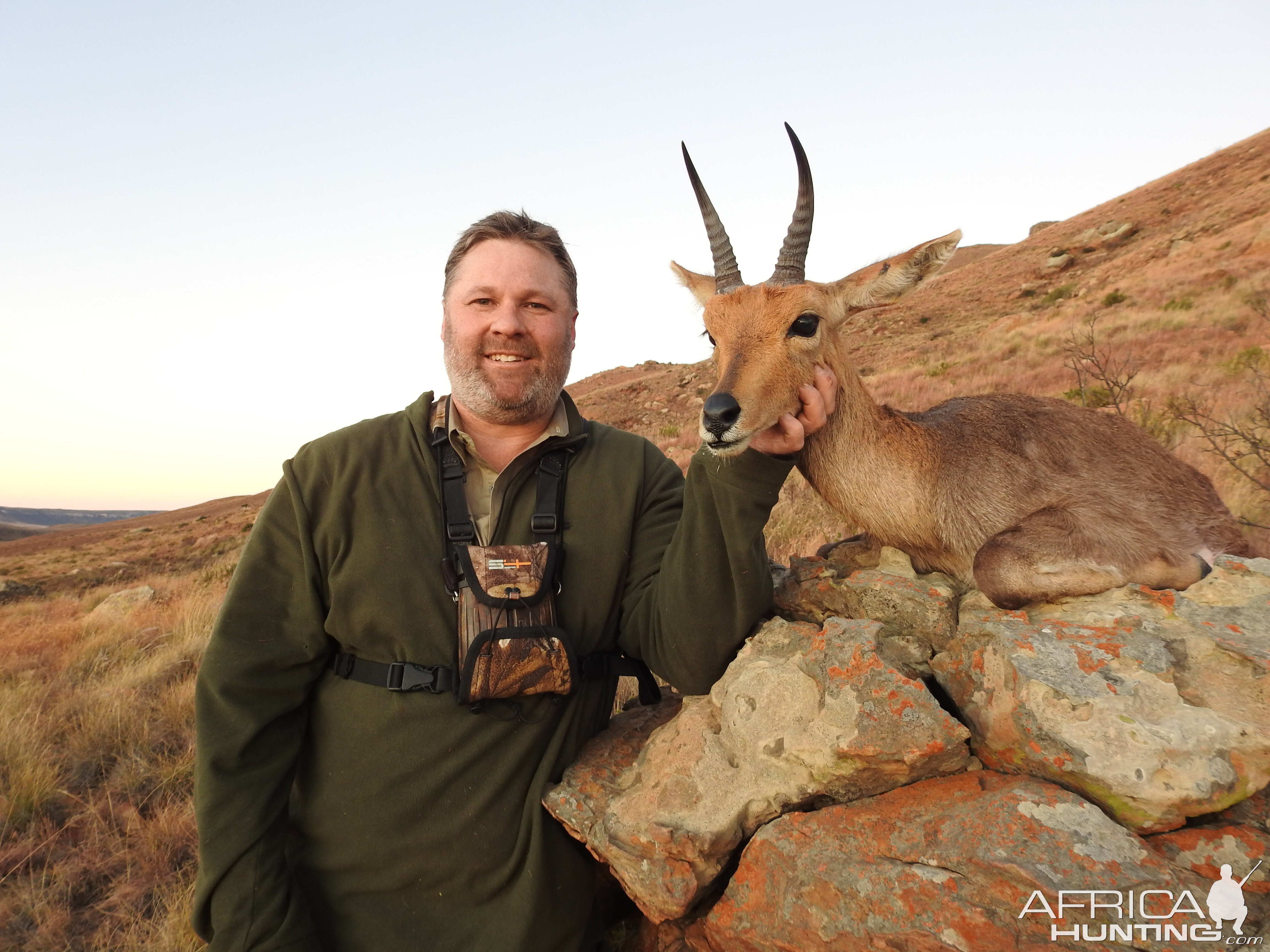 Mountain Reedbuck Hunt South Africa