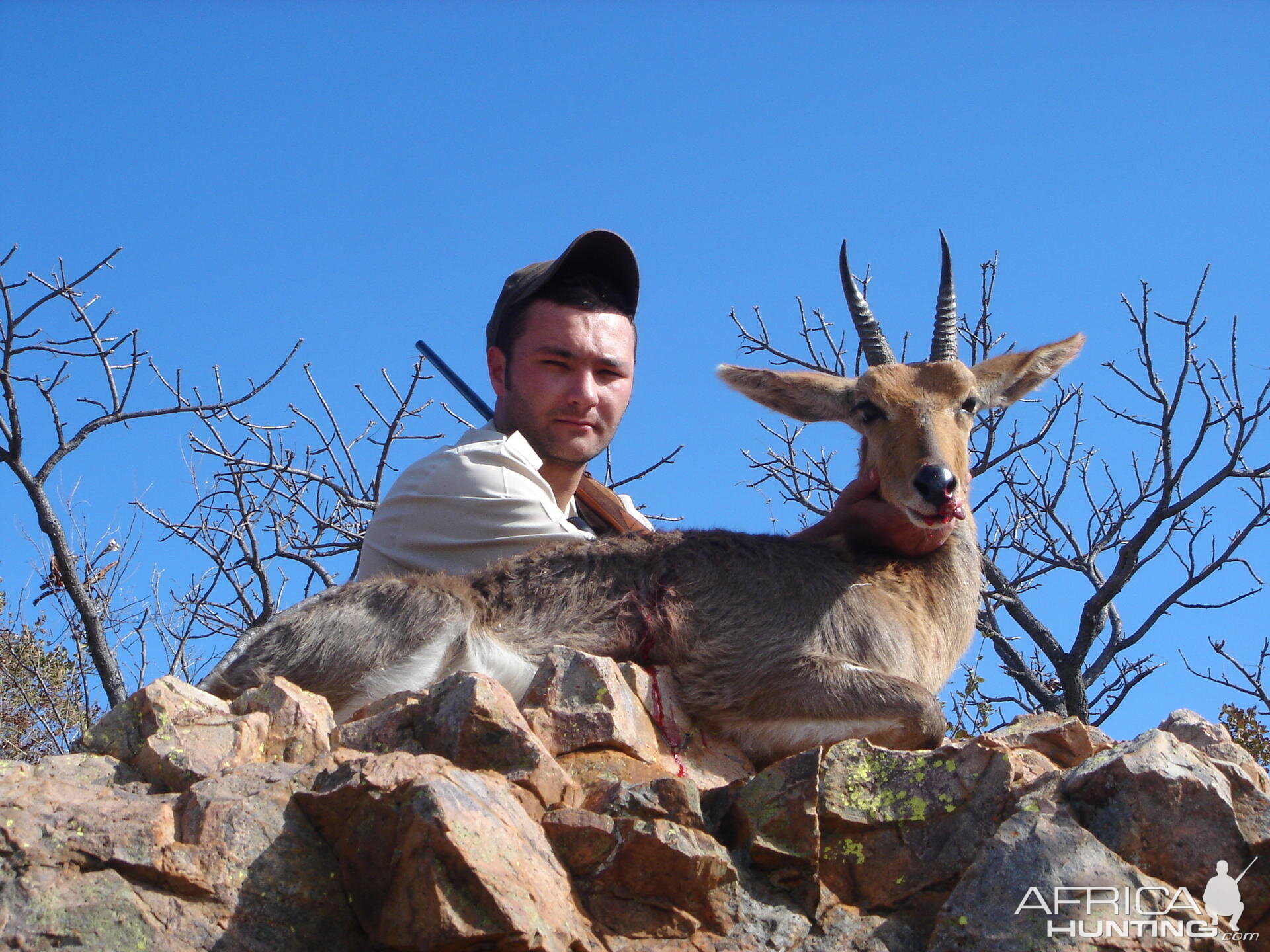 Mountain Reedbuck hunt