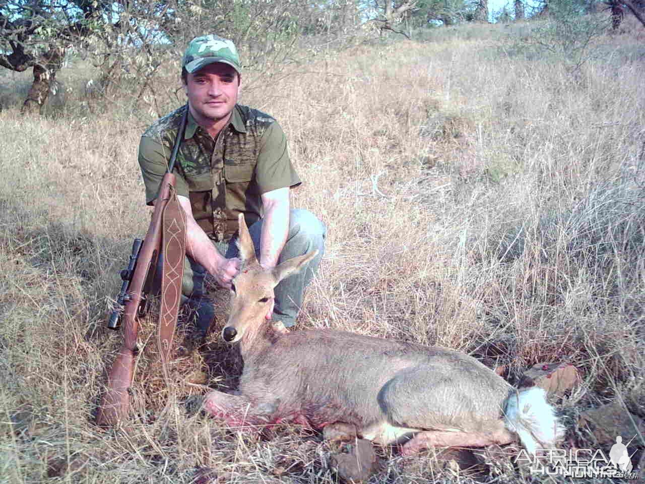 Mountain Reedbuck hunted in South Africa