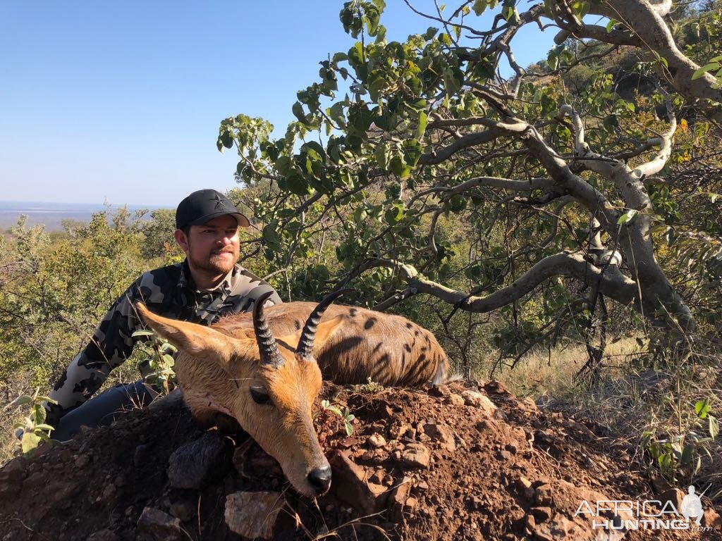 Mountain Reedbuck Hunting South Africa