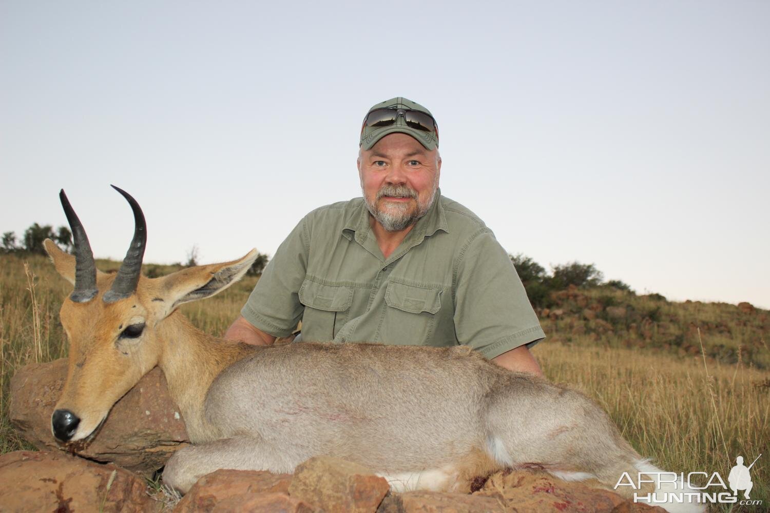 Mountain Reedbuck Hunting South Africa