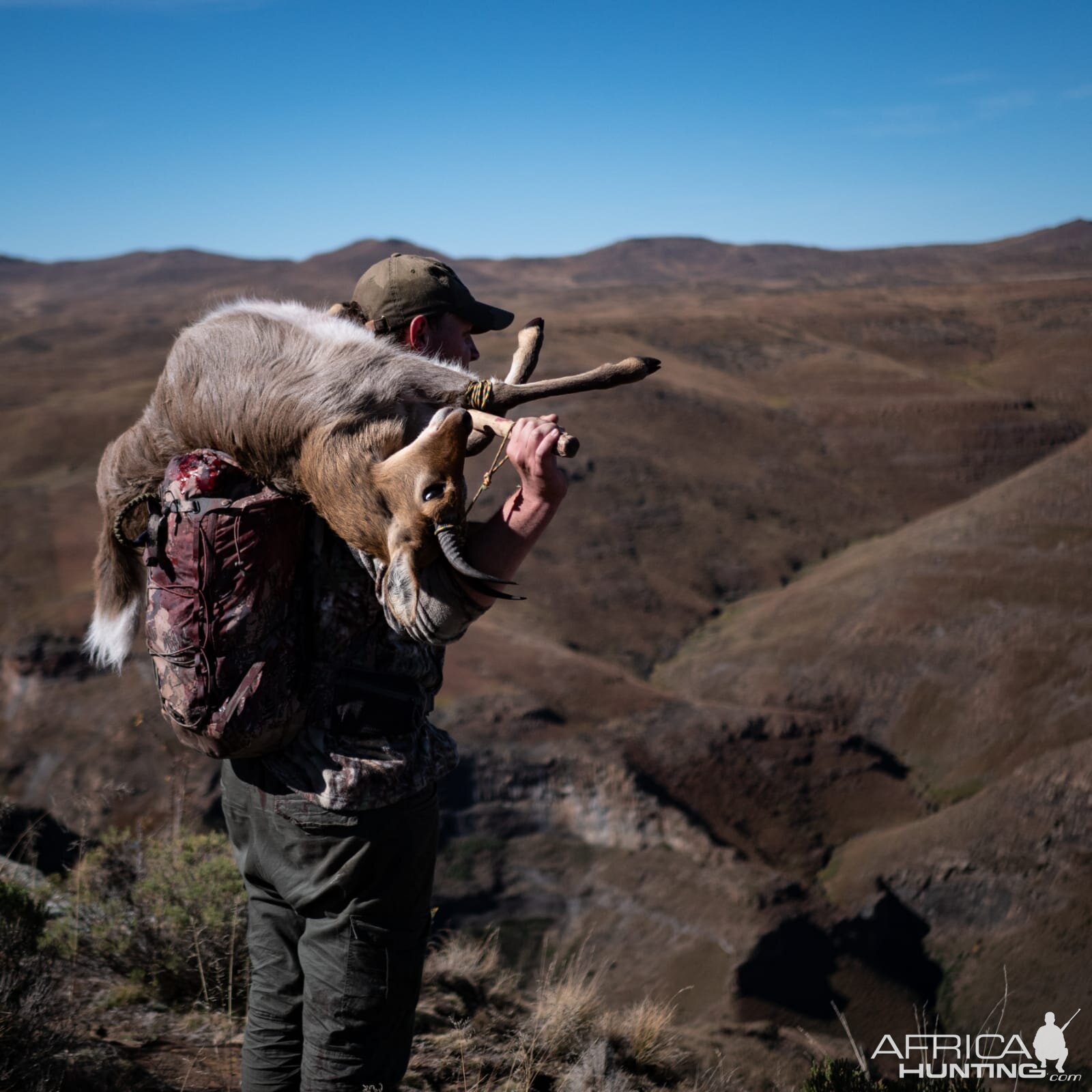 Mountain Reedbuck Hunting South Africa