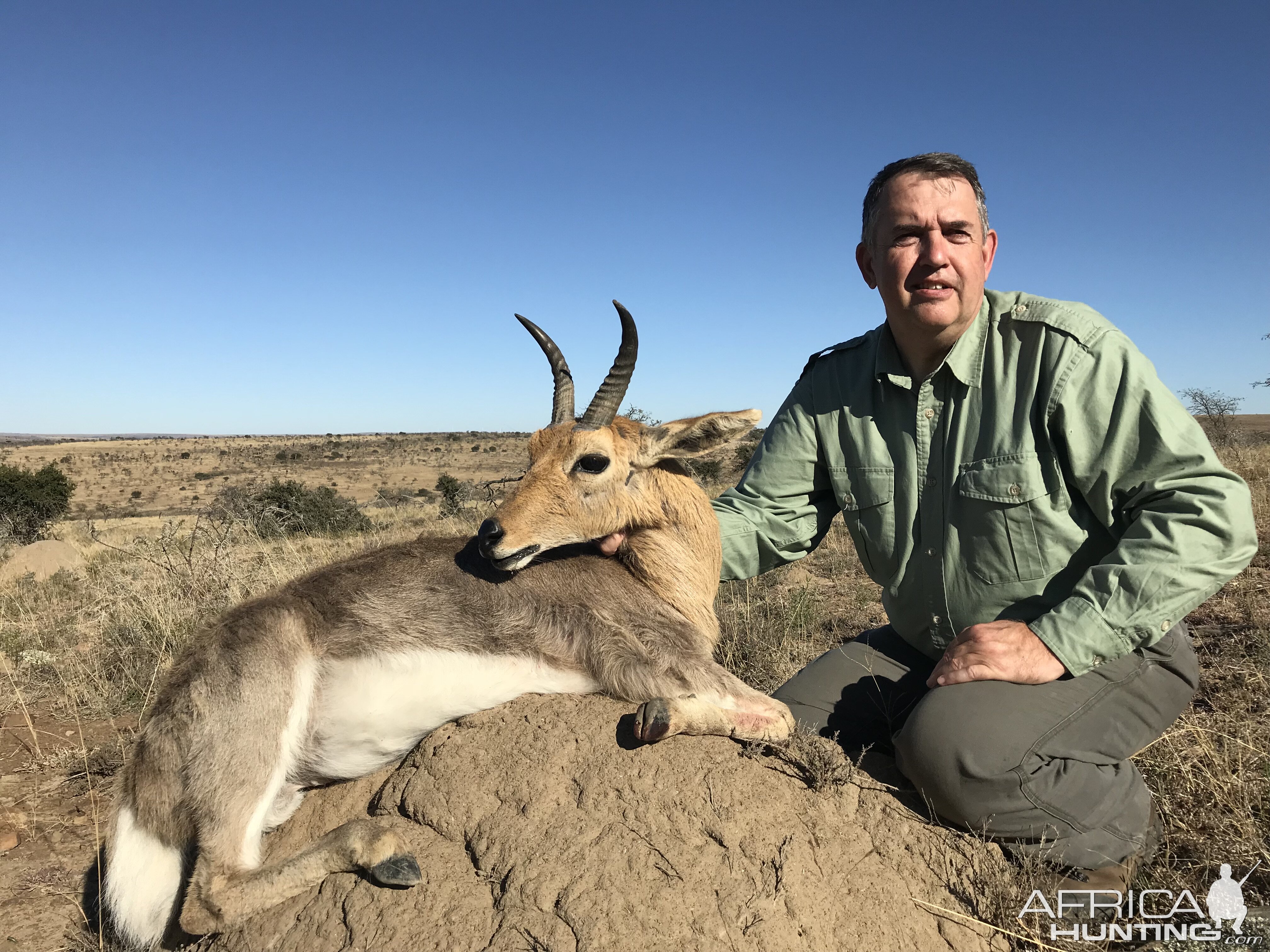 Mountain Reedbuck L