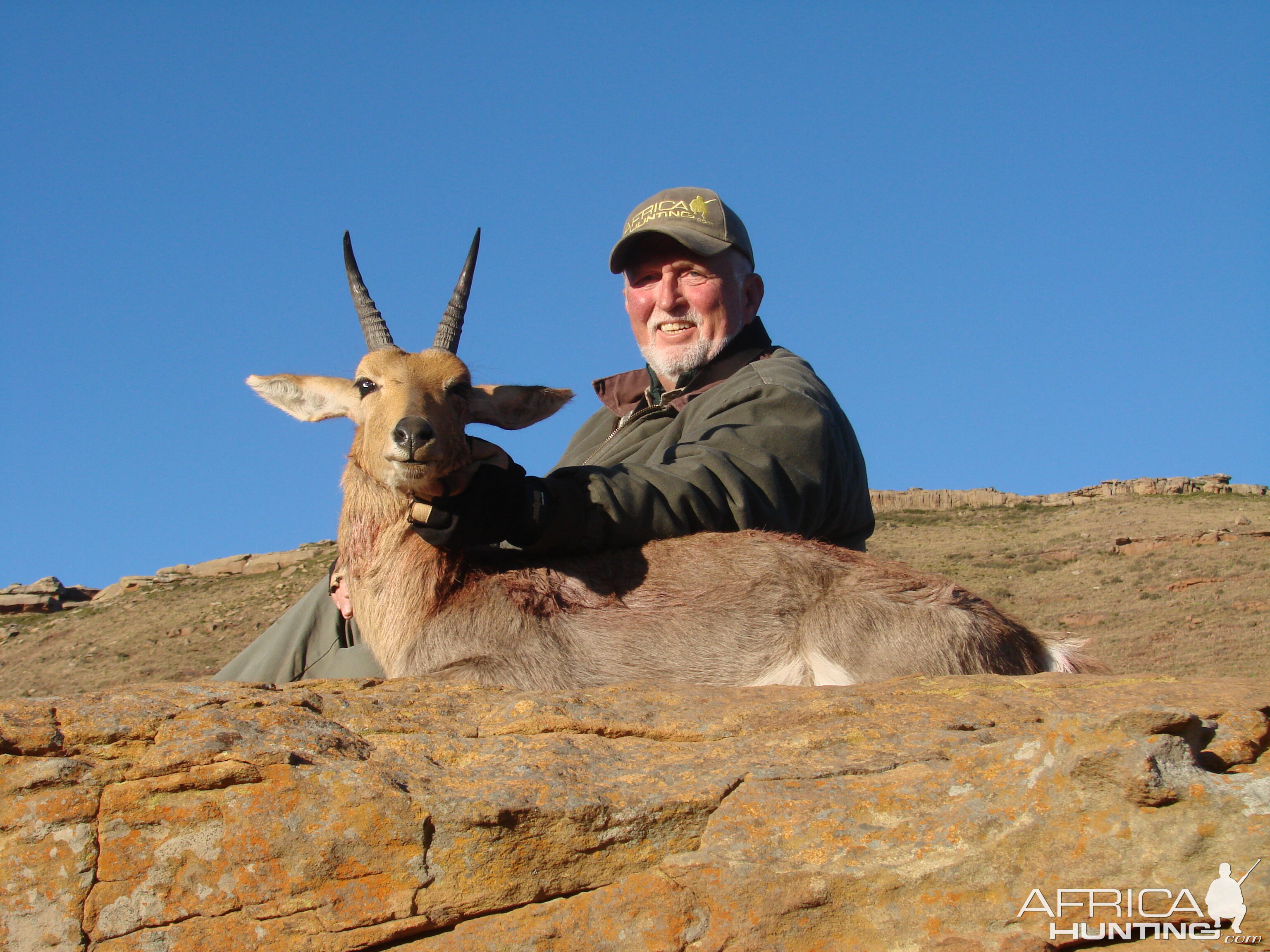 Mountain Reedbuck - Lategan Safaris