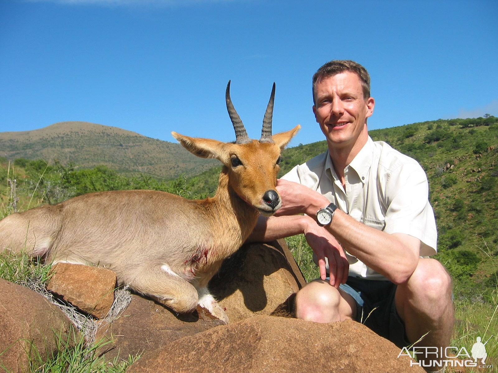 Mountain Reedbuck South Africa Hunting