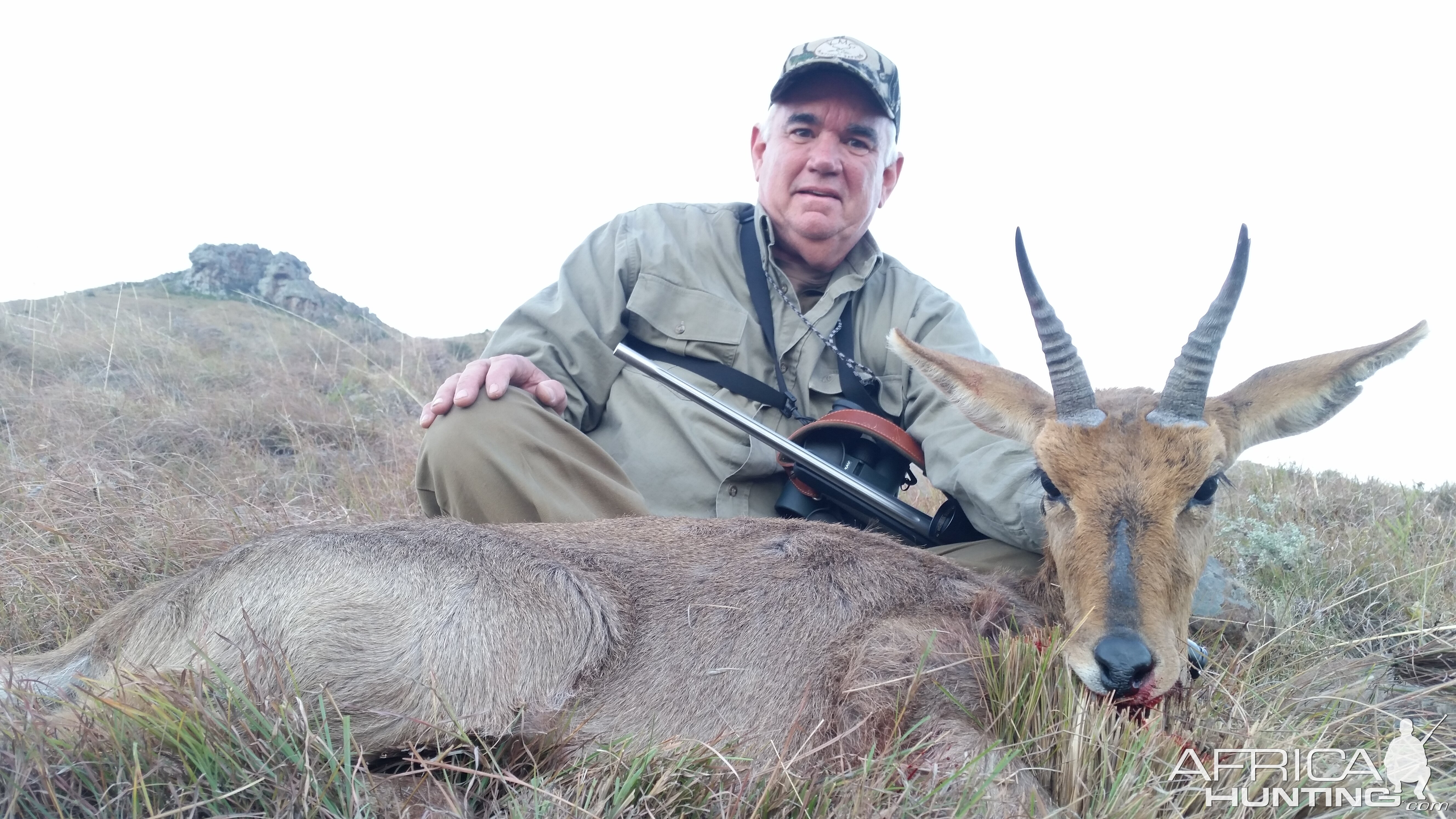 Mountain Reedbuck South Africa Hunting