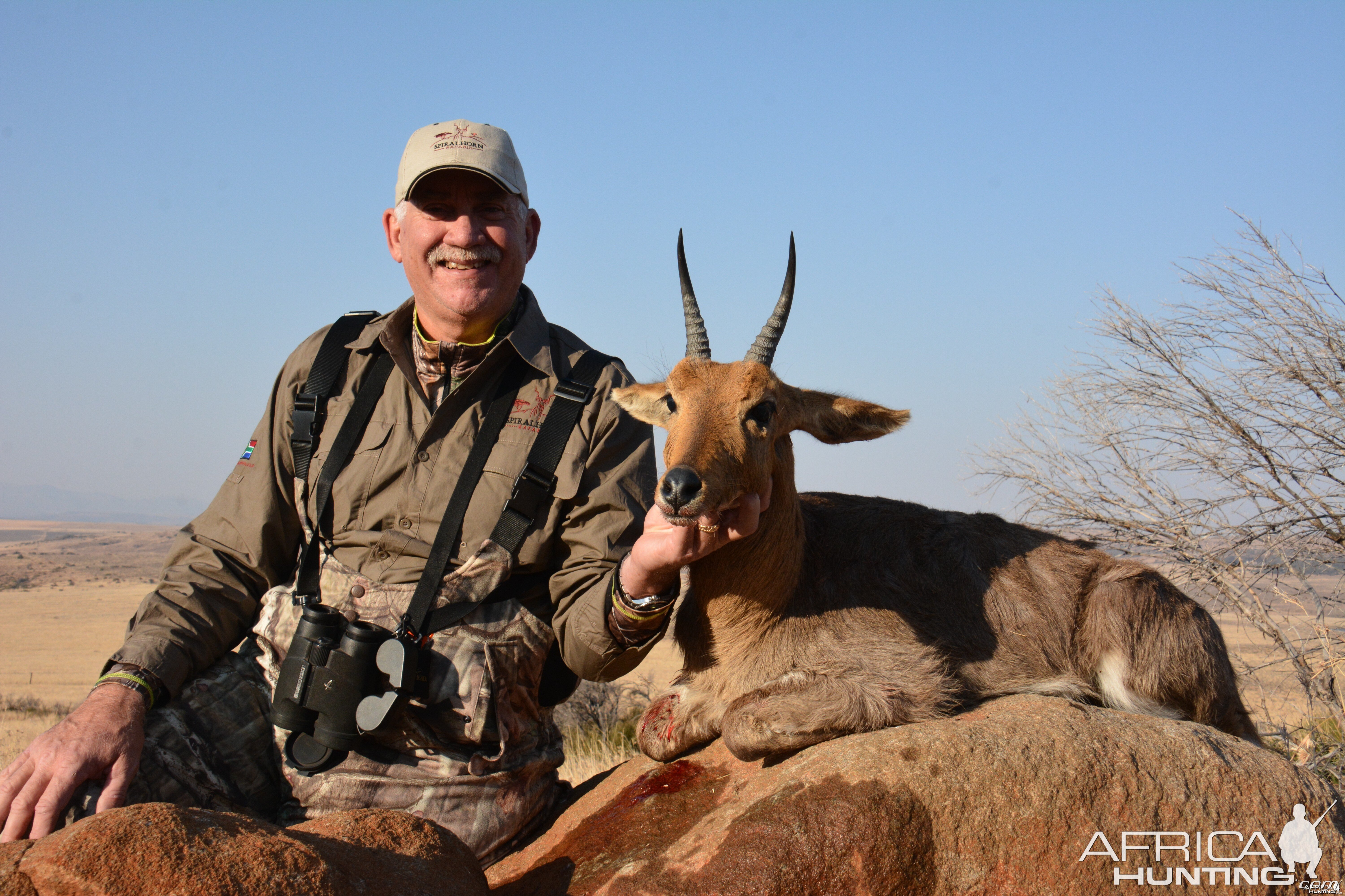 Mountain Reedbuck