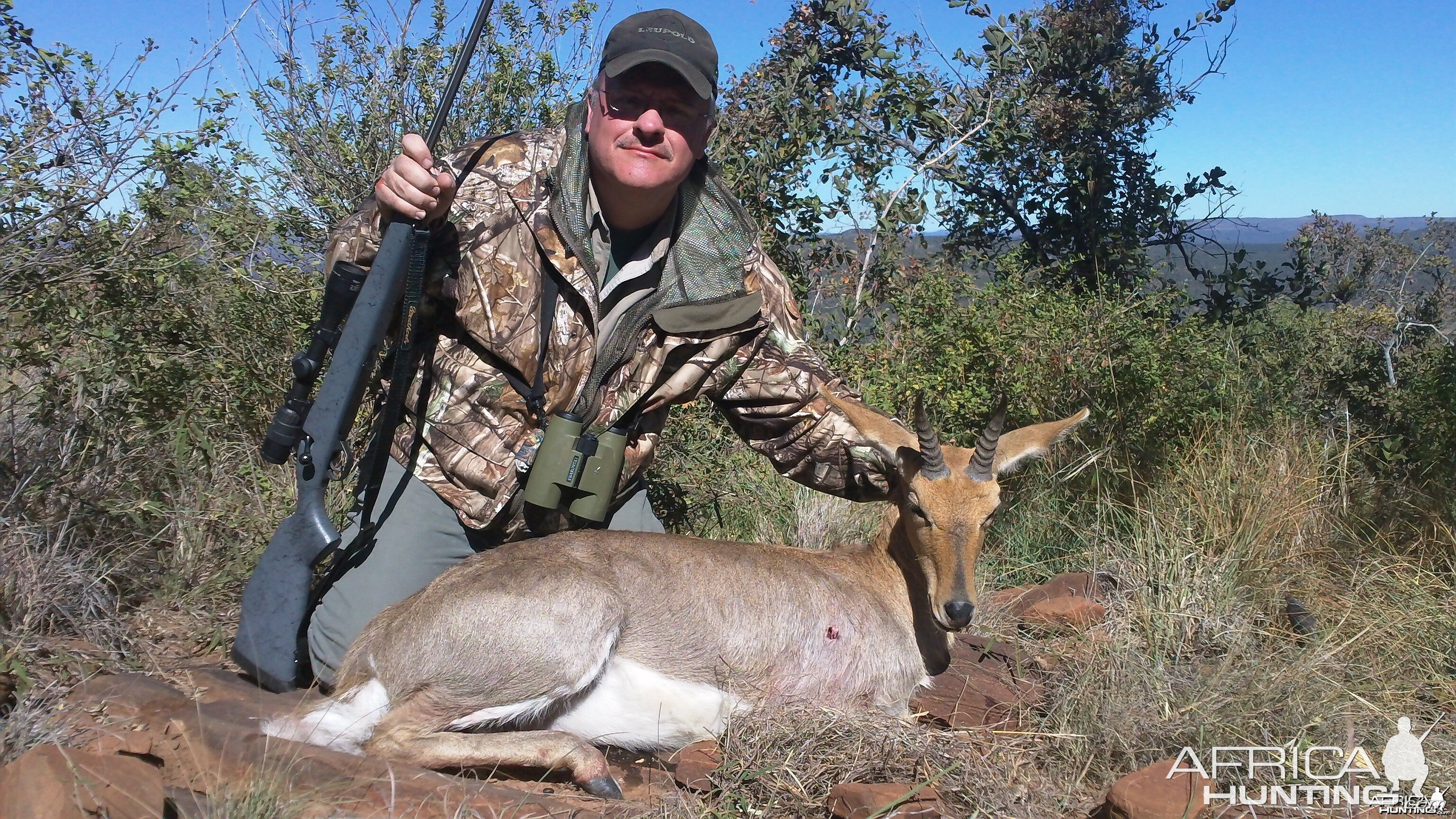 Mountain Reedbuck