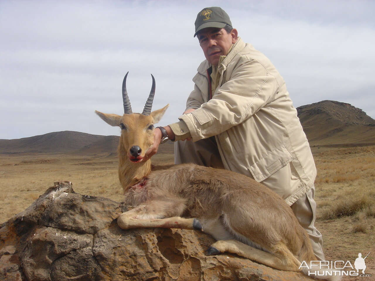 Mountain Reedbuck