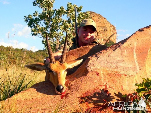 Mountain Reedbuck