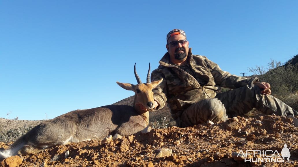 Mountain reedbuck