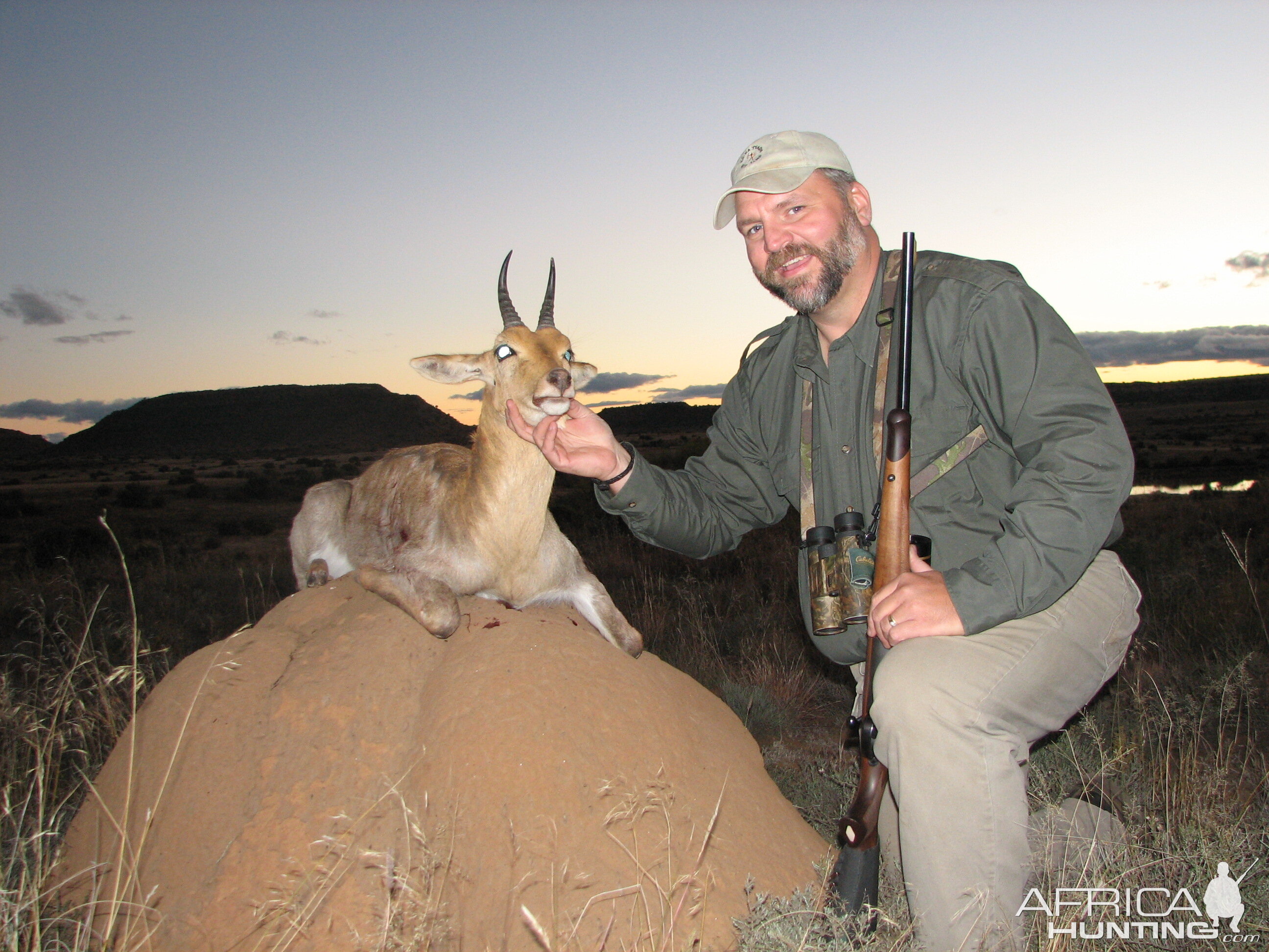 Mountain Reedbuck