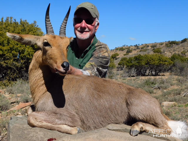 Mountain Reedbuck