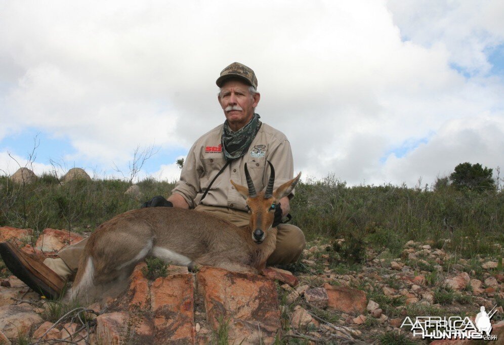 Mountain Reedbuck