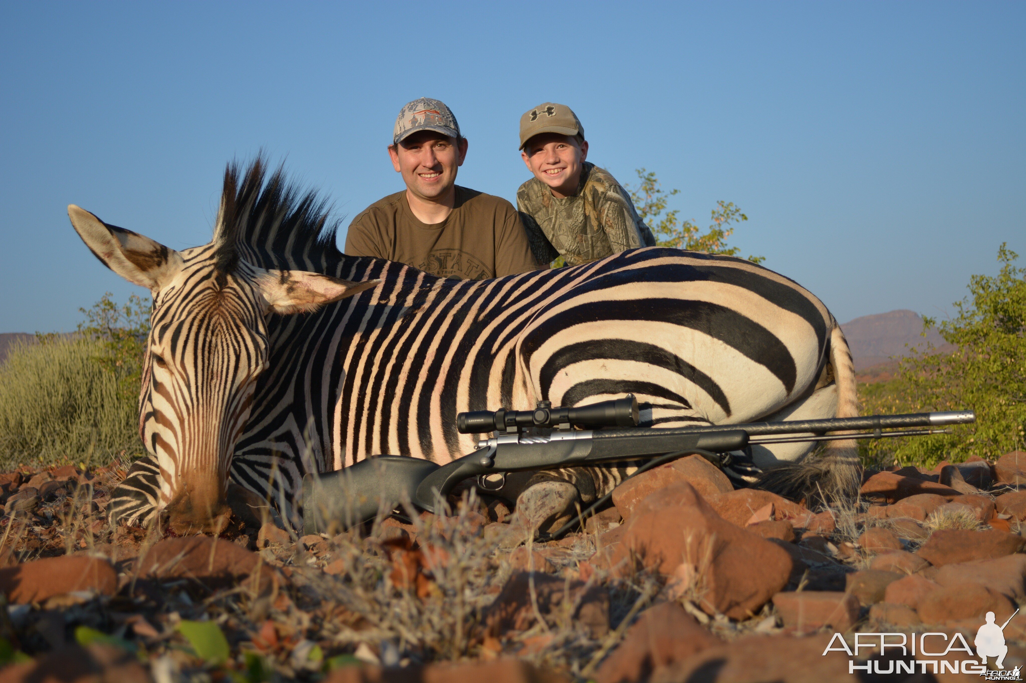 Mountain zebra Namibia