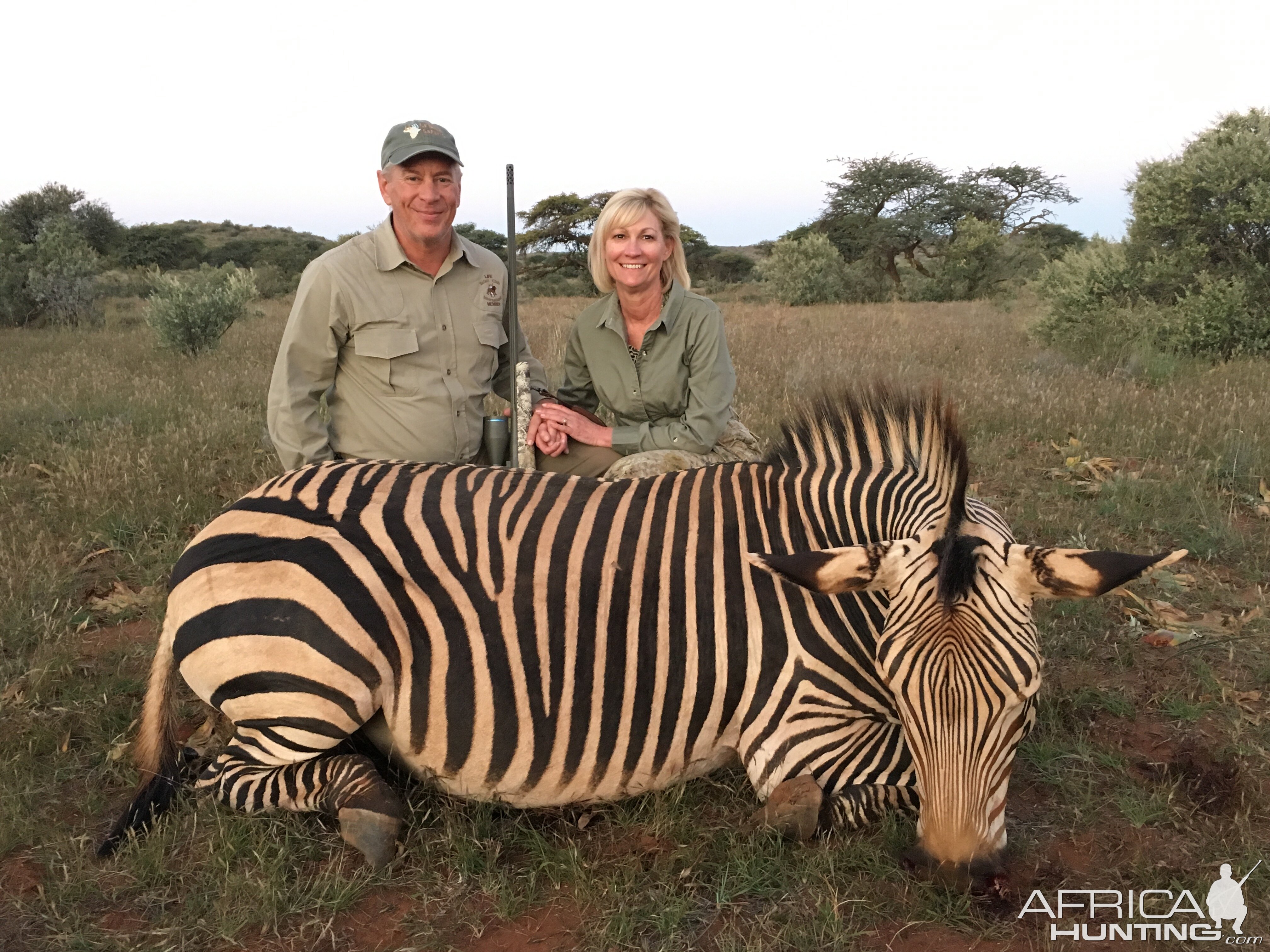 Mountain Zebra