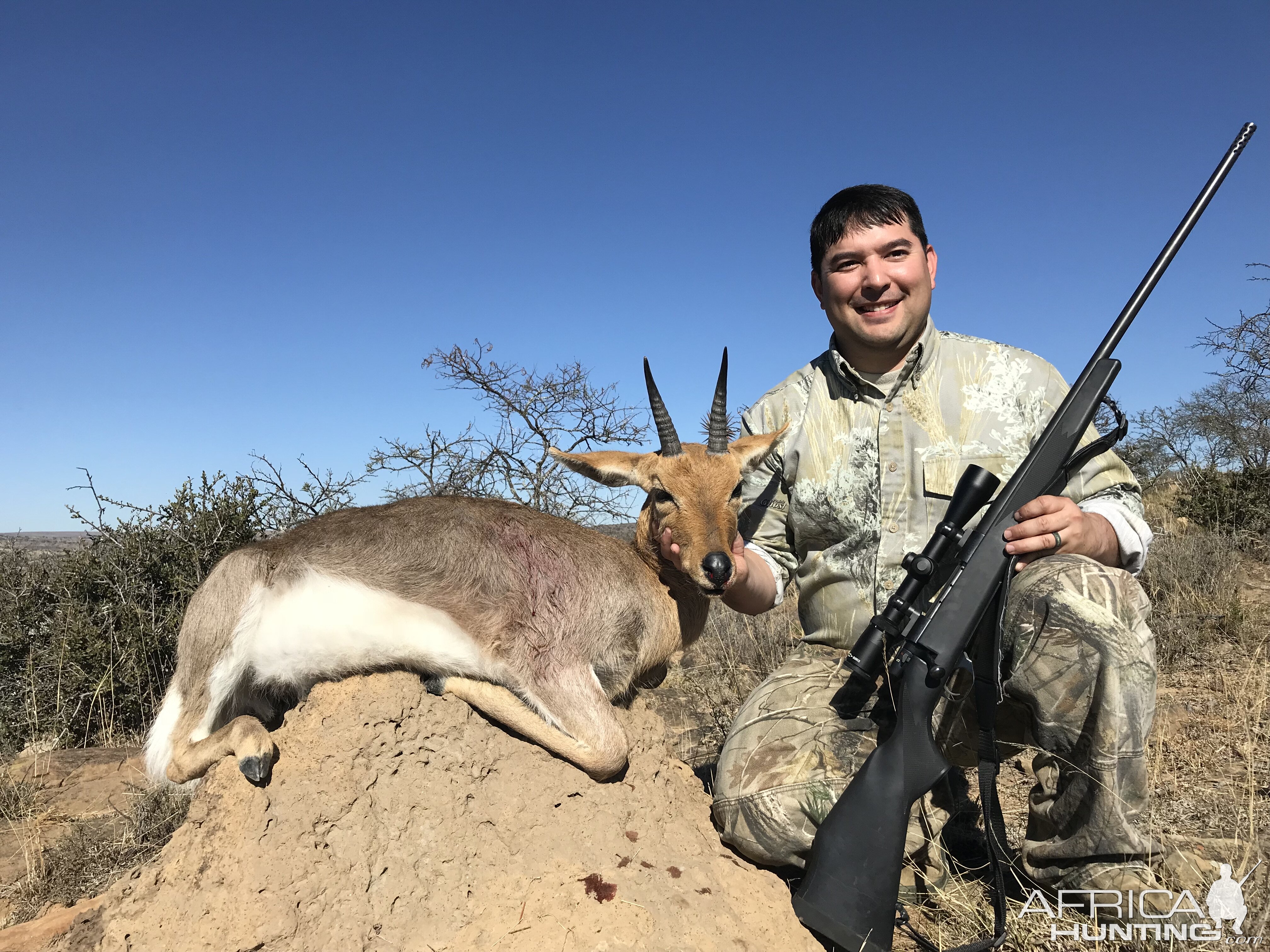 Mountian Reedbuck J