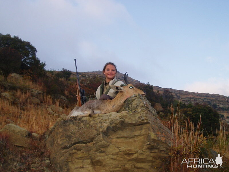 Mountian Reedbuck