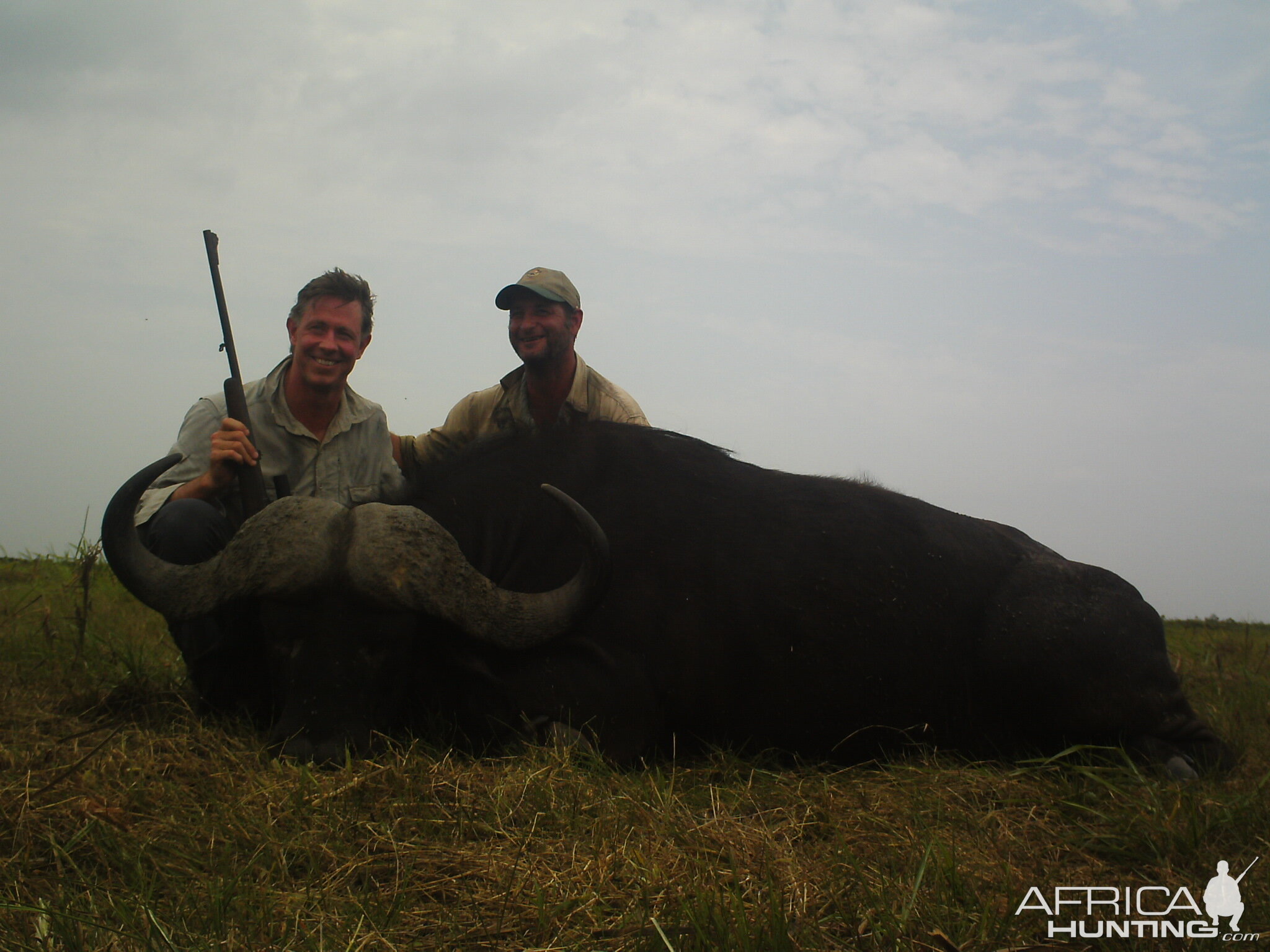 Mozambique Buffalo