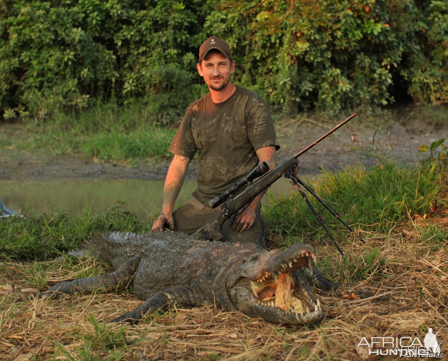 Mozambique Crocodile