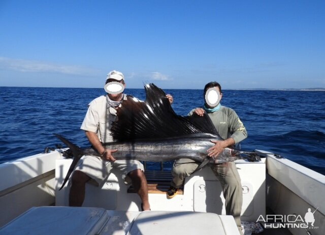 Mozambique Fishing Sailfish