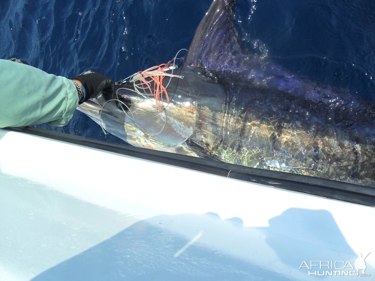 Mozambique Fishing