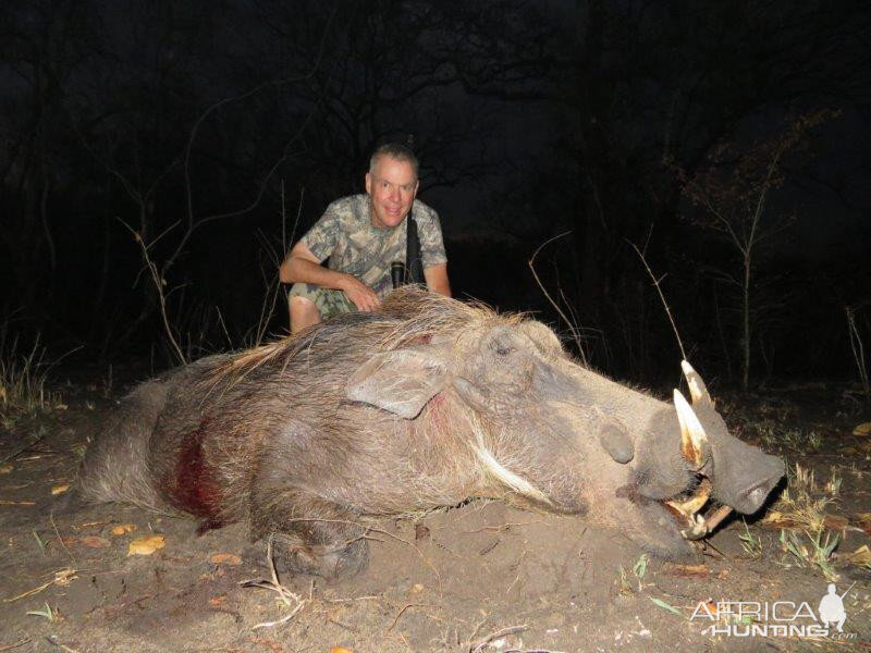 Mozambique Hunt Bushpig