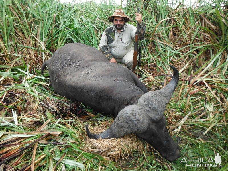 Mozambique Hunt Cape Buffalo