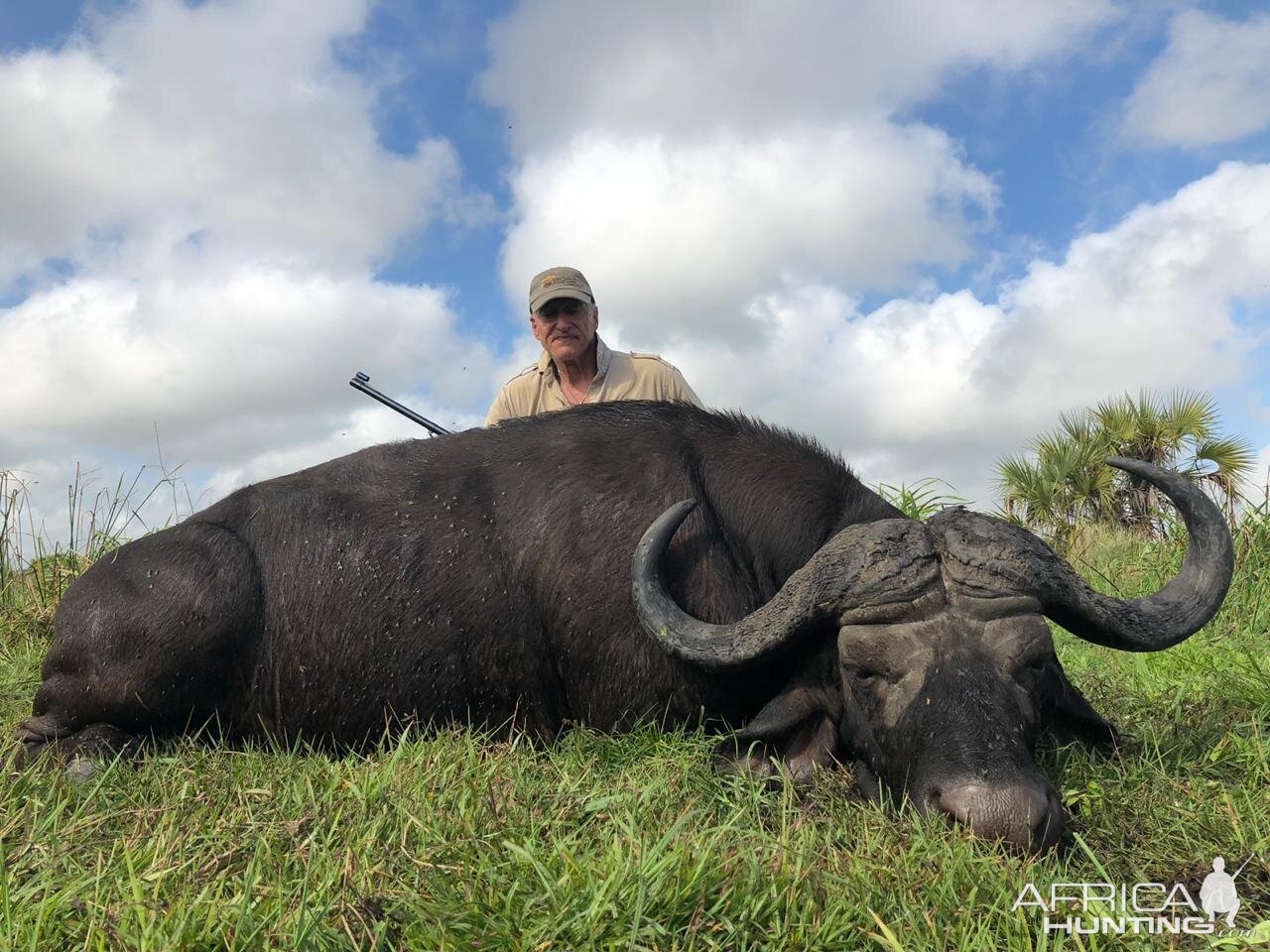 Mozambique Hunt Cape Buffalo