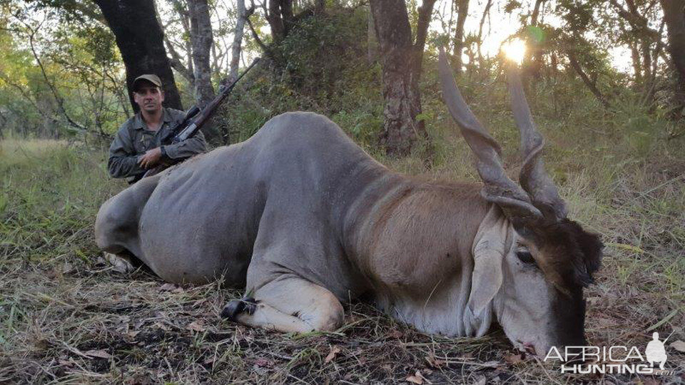 Mozambique Hunt Eland