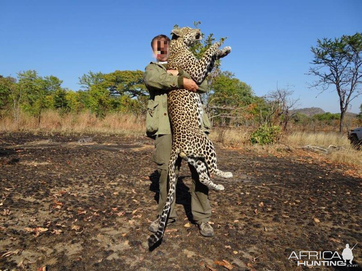 Mozambique Hunt Leopard