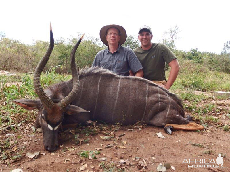 Mozambique Hunt Nyala