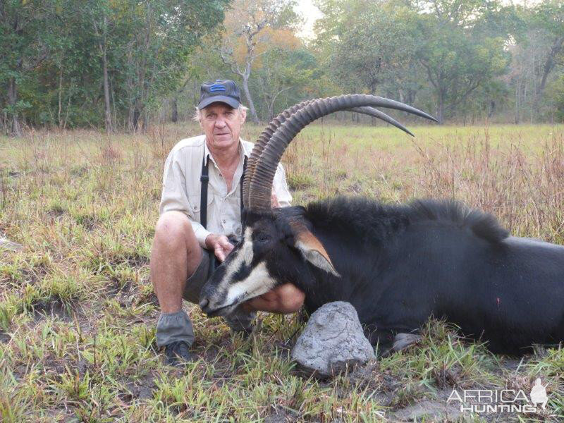 Mozambique Hunt Sable Antelope