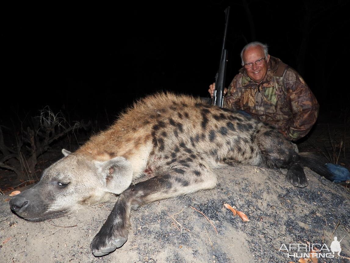 Mozambique Hunt Spotted Hyena