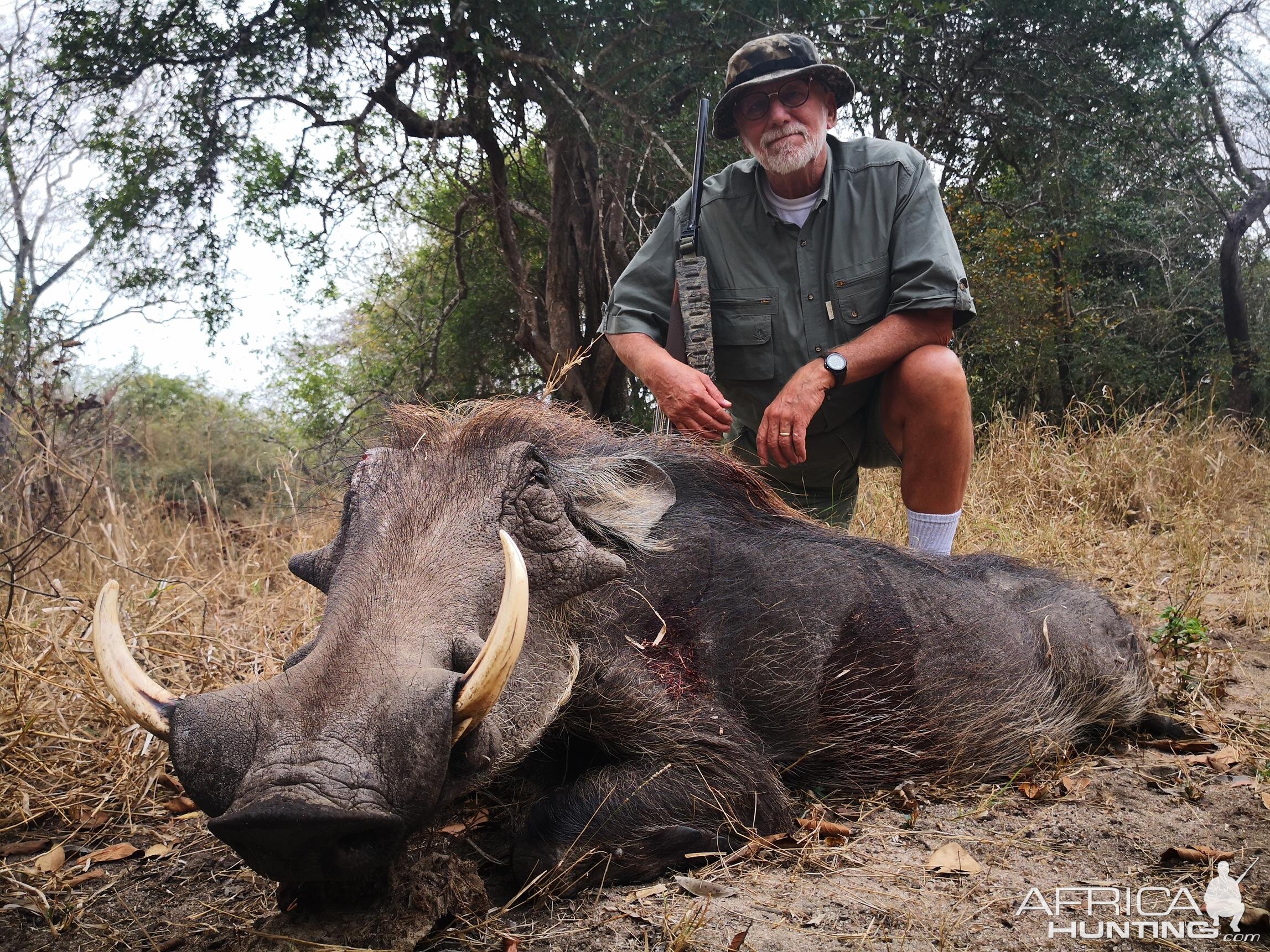 Mozambique Hunt Warthog