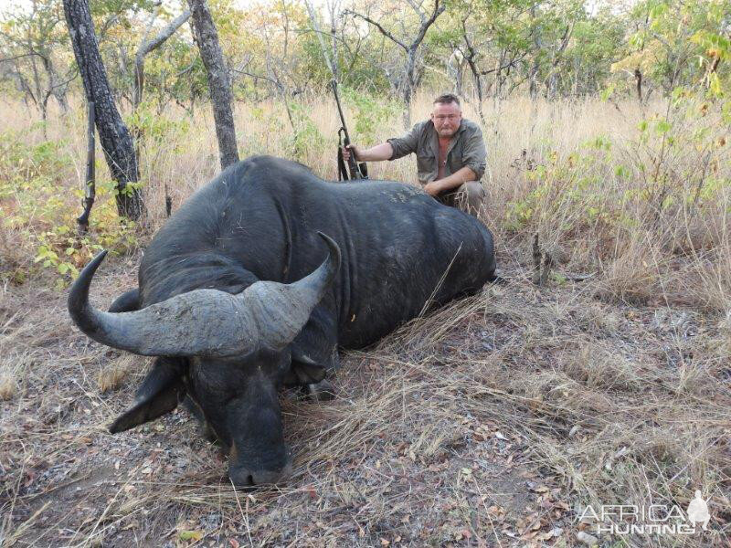 Mozambique Hunting Buffalo