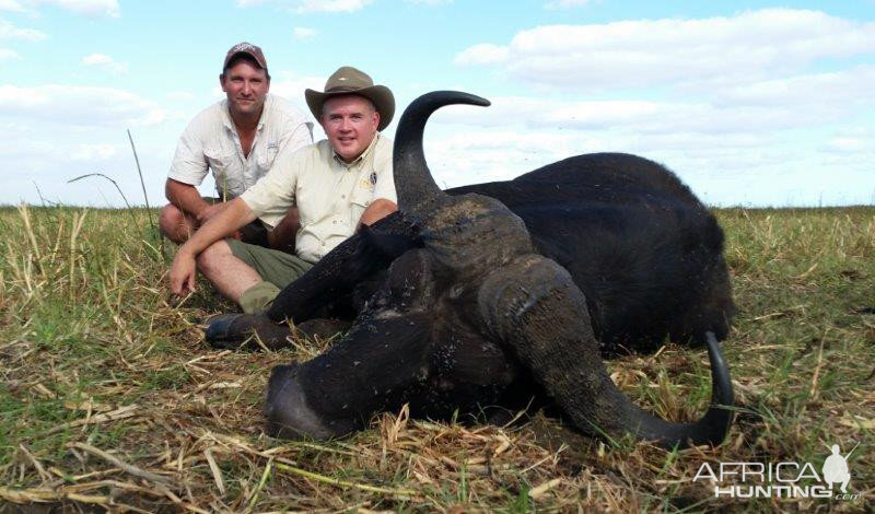 Mozambique Hunting Buffalo