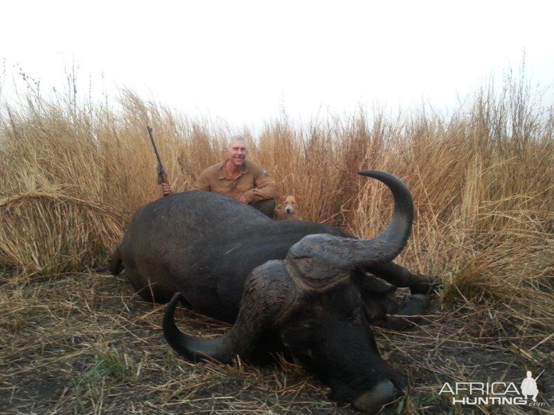 Mozambique Hunting Buffalo