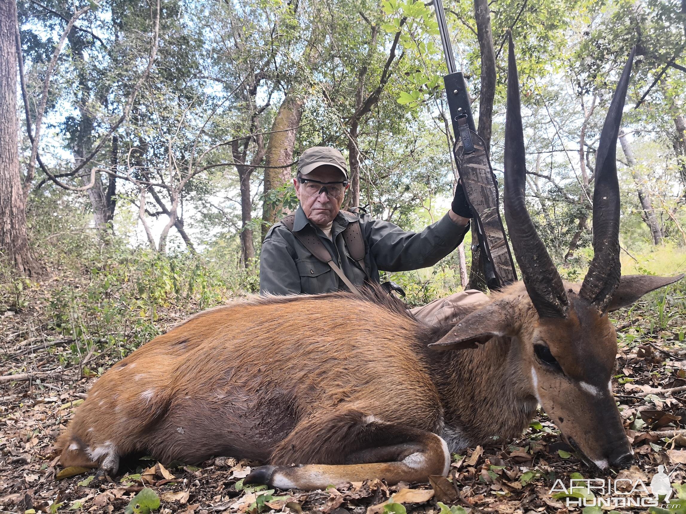 Mozambique Hunting Bushbuck