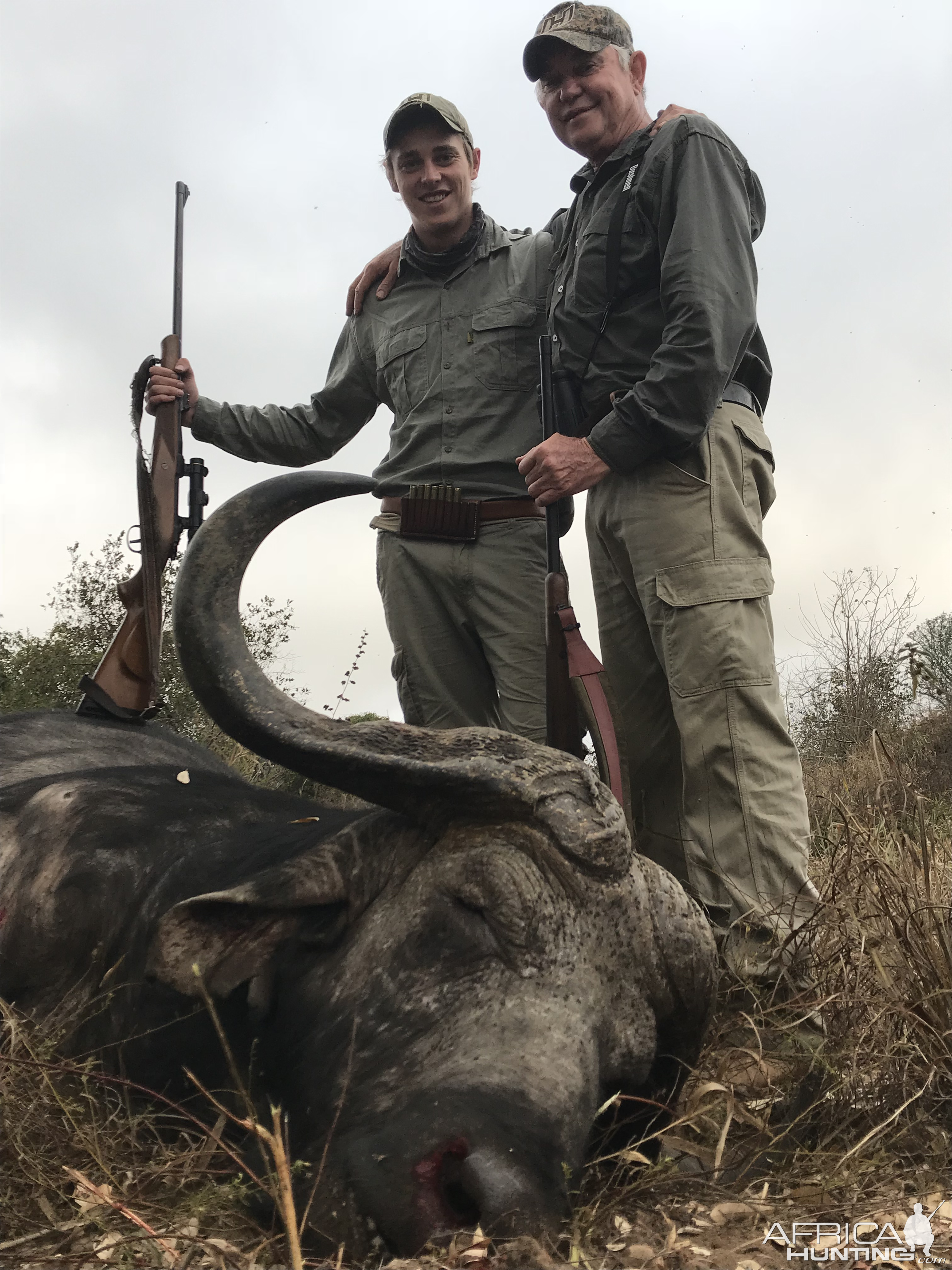 Mozambique Hunting Cape Buffalo