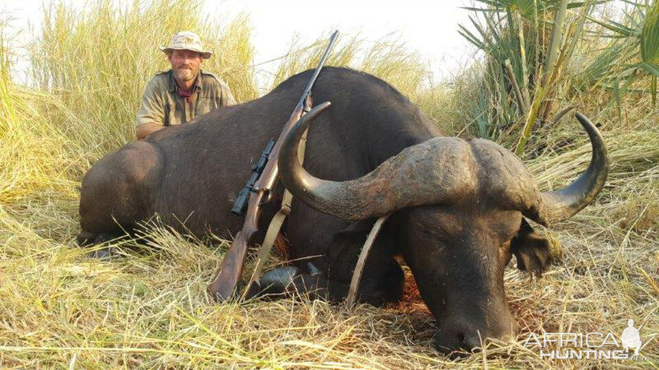 Mozambique Hunting Cape Buffalo