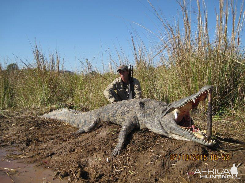 Mozambique Hunting Crocodile