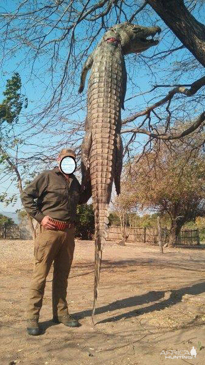 Mozambique Hunting Crocodile