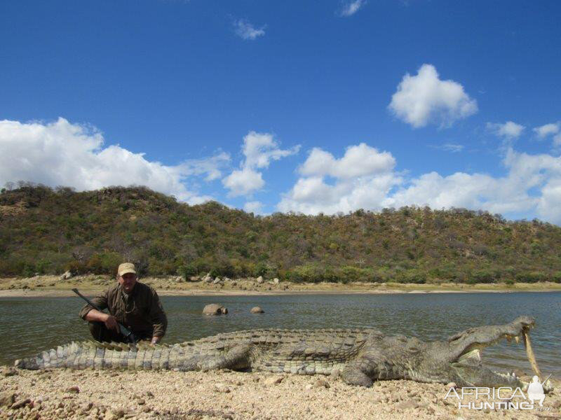 Mozambique Hunting Crocodile